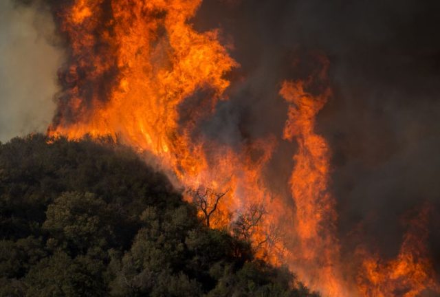 wildfires